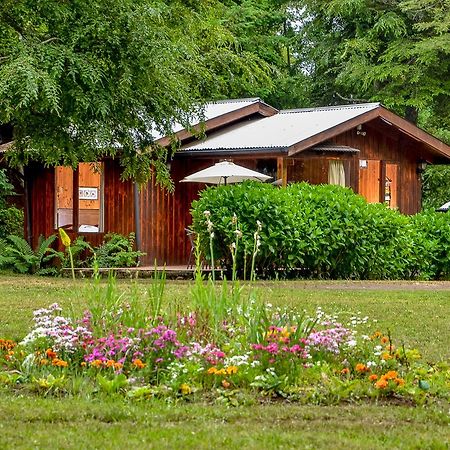 Cabanas Aylen Hotel Pucon Exterior photo